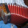 Pormenor da concertina.