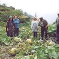 Maria Irene Bento, com os vizinhos num dos terrenos de Soito da Ruiva.