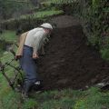 Manuel Grácio nas suas actividades agrícolas. Soito da Ruiva, 2007.