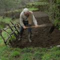 Manuel Grácio nas suas actividades agrícolas. Soito da Ruiva, 2007.