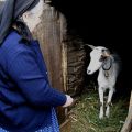 Arminda Neves, junto do curral das cabras (loja). Soito da Ruiva, 2008.