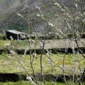 Soito da Ruiva – Fotografia: Olívia Da Silva