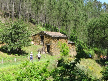 A caminho da Foz da Moura