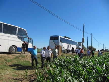 "Nunca vi tanto milho na minha vida"... ouvia-se no autocarro