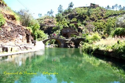 Foto Rouxinol de Pomares